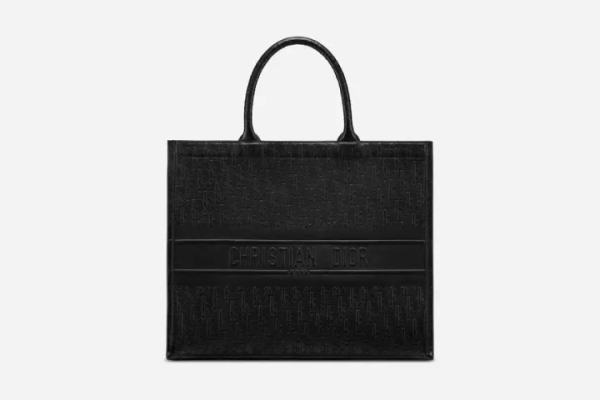 Dior Book Bag